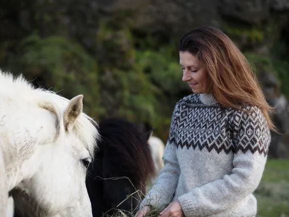 Borg - Icelandic Oatmeal sweater